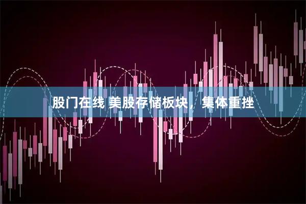 股门在线 美股存储板块，集体重挫