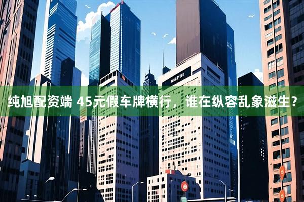 纯旭配资端 45元假车牌横行，谁在纵容乱象滋生？