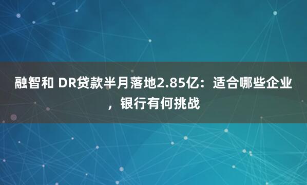 融智和 DR贷款半月落地2.85亿：适合哪些企业，银行有何挑战