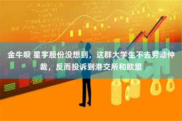 金牛呗 星宇股份没想到，这群大学生不去劳动仲裁，反而投诉到港交所和欧盟